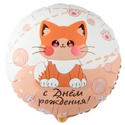 ДР Котик усатый  (К 18" РУС) 10081